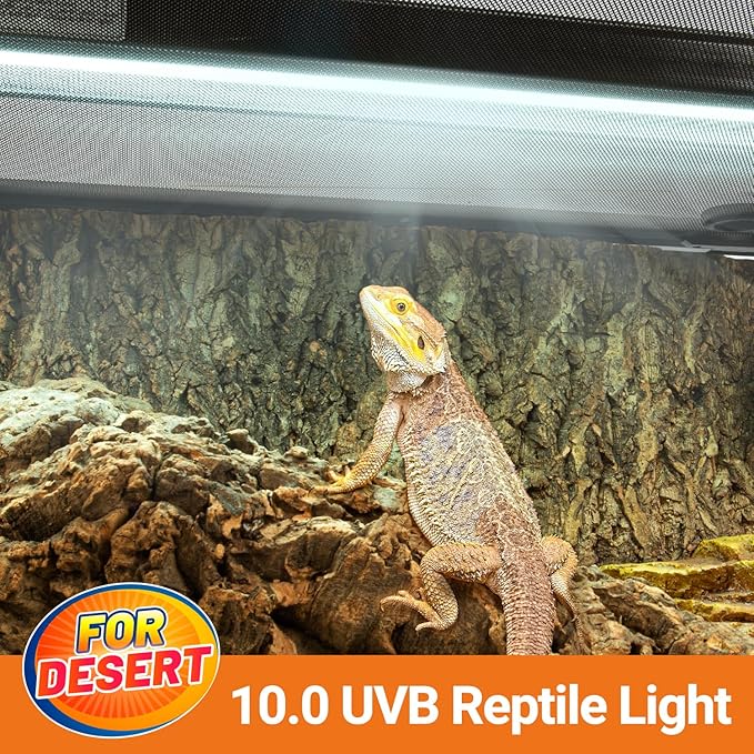 Oiibo T5 HO Reptile Light Fixture UVB Lighting Combo Kit, Reptiles Terrarium Lamp Hood Light Fixture Include UVB 10.0 Desert Reptile Light for Bearded Dragon Gecko Lizard (24W)