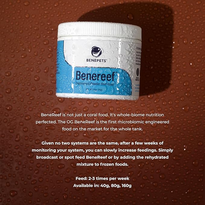 Benepets BeneReef Powder Complete Reef Nutrition - Optimize Coral Growth, Color & Regeneration, Max Nutrient Absorption, Prebiotics & Probiotics, Coral & Fish Food - 40 Grams