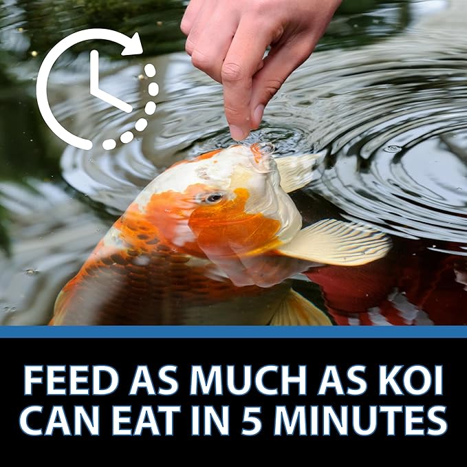 CrystalClear Platinum Fish Food, Premium Floating Pellets for Koi & Goldfish – Boost Growth, Color, and Wellness in Backyard Ponds & Water Gardens, 5mm Pellets, 4.4 Pounds