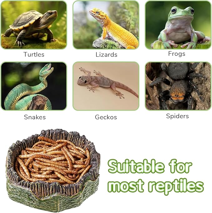 2 PCS Small Reptile Food Dish Reptile Water Dish Food Bowl Reptiles Feeding Foods Resin Terrarium Bowl for Bearded Dragon Gecko Frog Snake Chameleon Tortoise