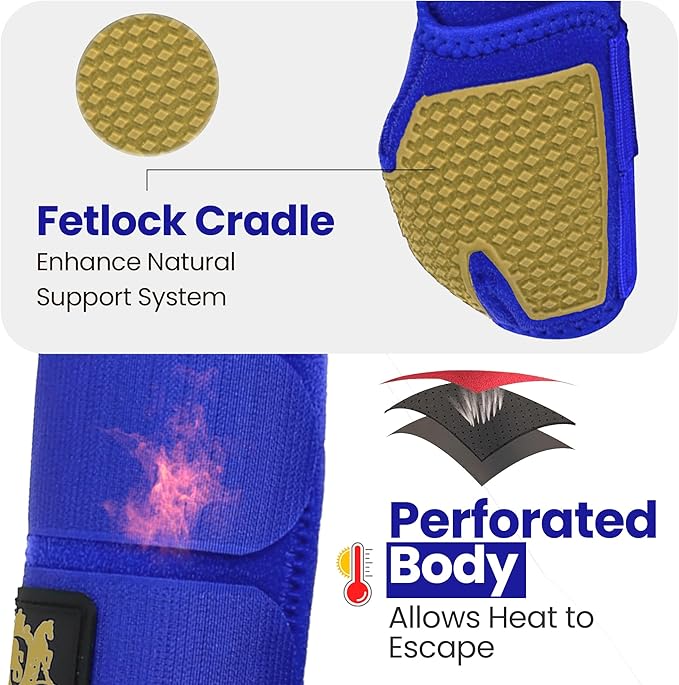 RS Premium Design Horse Boots | Comfortable, Protective & Shock-Absorbing | Best for Jump Training & Trails | OK Fabric for Ultimate Flexibility (Goldline Blue, Medium)