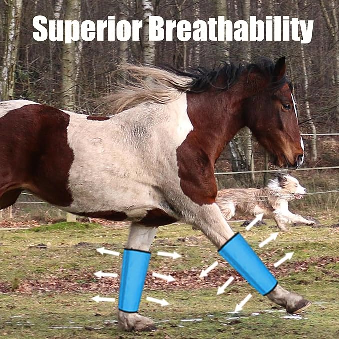 Mesh Horse Fly Boots Set of 4, Breathable Loose Fitting Leggings for Horses, Reduces Stomping & Fatigue, Leg Fly Protection (Blue)