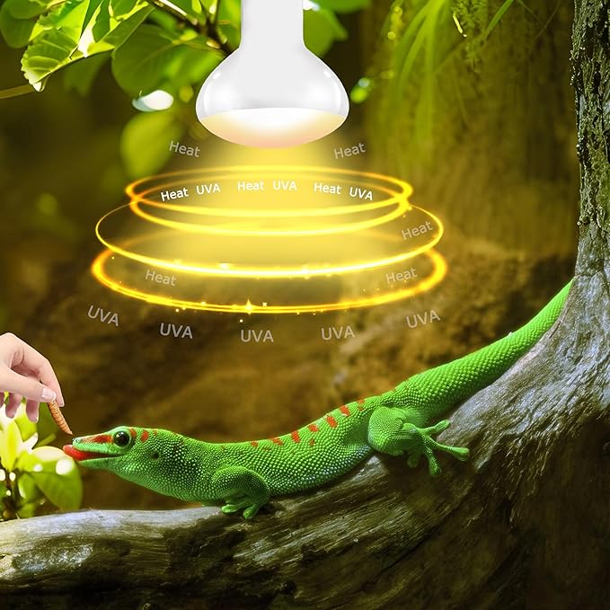 UVA Reptile Heat Lamp Bulb 75W - Ideal Basking Light for Bearded Dragons, Lizards, Chicks & Amphibians, Simulated Sunlight for Terrariums, Promotes Healthy Bone & Immune System | 2 Pack