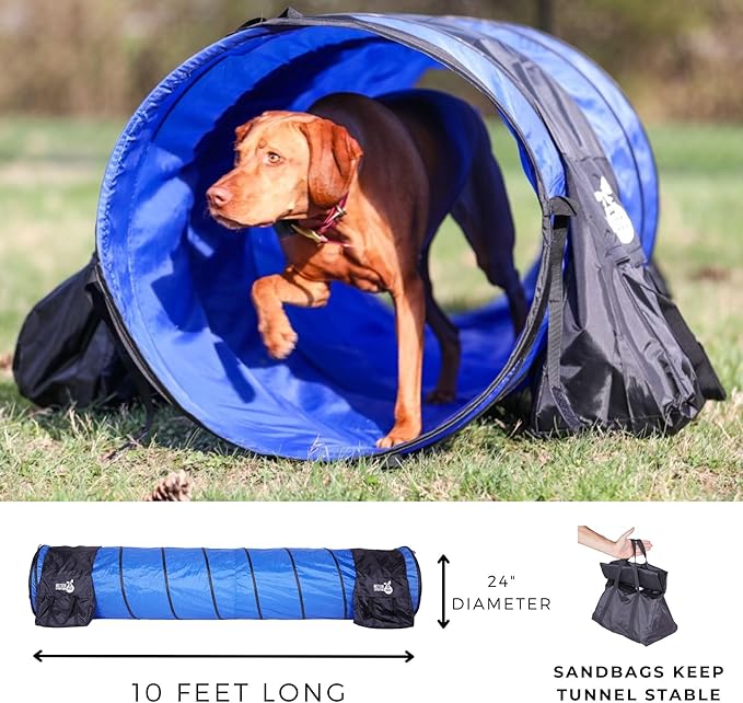 Better Sporting Dogs Agility Course Backyard Set - 7pc Indoor and Outdoor Agility Training Equipment for Dogs - 3 Jumps - 2 Tunnels with Sandbags - Weave Poles for Dog Obstacle Training