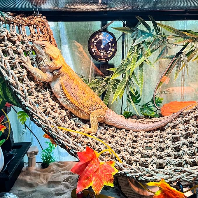 Grddaef Bearded Dragon Tank Accessories, Reptile Hideout Bridge Climbing Plants & Jungle Vines and Leaves Terrarium Decoration for Lizard Frog Snake Gecko Crab Chameleon