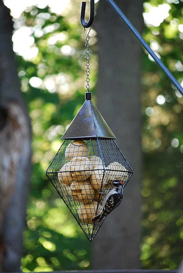 Wildlife Sciences Melt Resistant Suet Balls Variety 16 Pack, 4 Wrapped Packs of 4 Bird Suet Balls