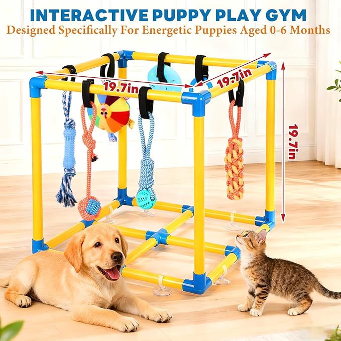 Puppy Play Gym for Small Dogs with 10 Hanging Toys, Removable Indoor Jungle Gym, PVC Frame with Adjustable Bungee Straps, Interactive Dog Toys Tug Toys for Dogs Rope Toy to Keep Them Busy