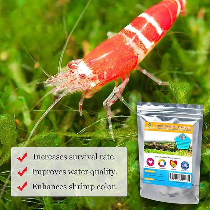 SunGrow Shrimp Calcium White Powder, Supports Healthy Molting, Improves Shell Color, Growth & Strength, Enhances Water Quality, Breeding Support, Essential Mineral for Freshwater Shrimp, 1.8 oz