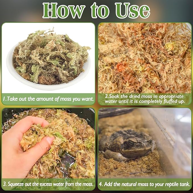 Halatool 6OZ Natural Sphagnum Moss Substrate for Reptiles - Terrarium Bedding with 72H Moisture Retention, Safe for Bearded Dragons, Geckos & Snake Shedding
