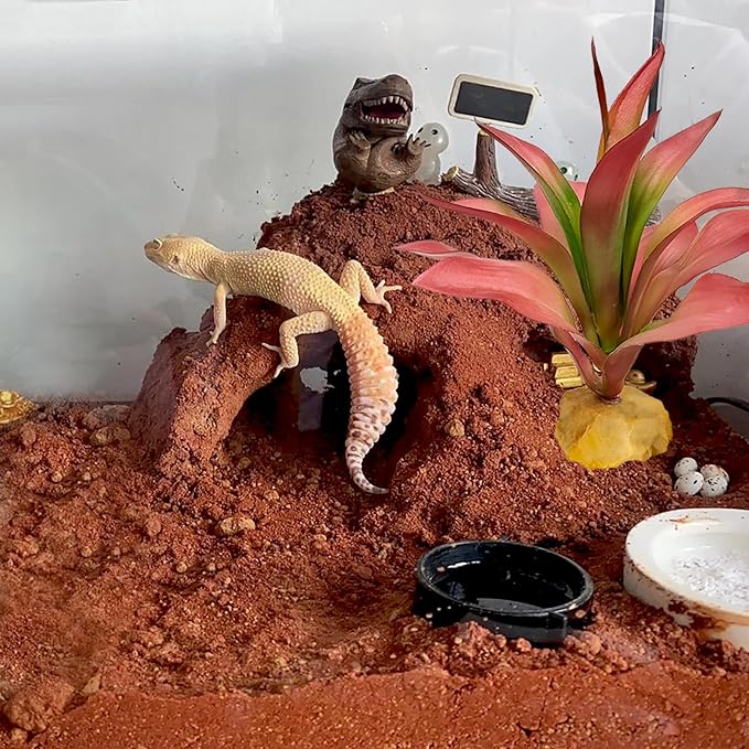 Woyrise Reptile Plants Succulent, Artificial Desert Plant for Terrarium Decor, Bearded Dragon Tank Accessories fit Gecko Lizard Chameleon Ball Python Snake - Guzmania lingulata