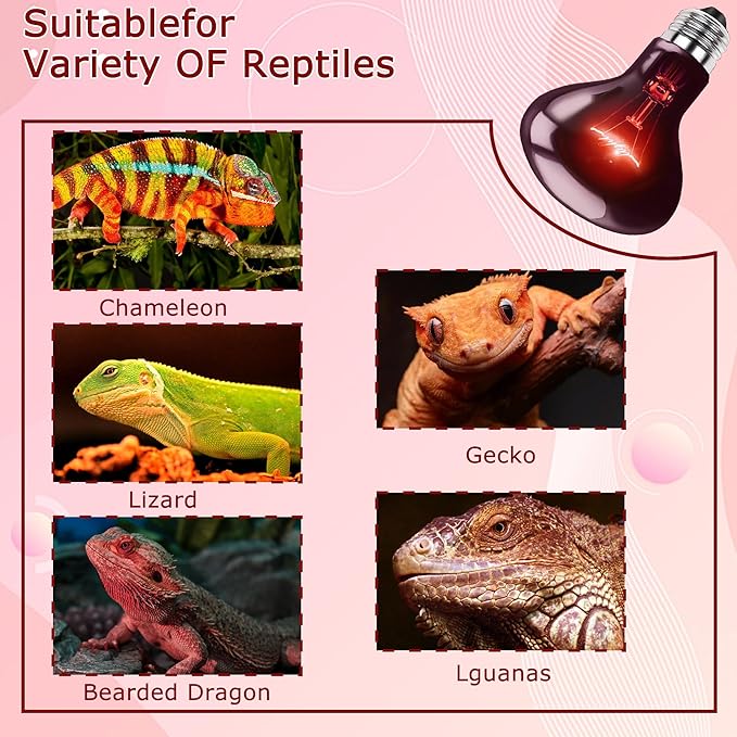 75W Infrared Red Basking Spot Light Bulb – Promotes Growth & Vitality, Heat Lamp for Reptiles & Amphibians, Bearded Dragons, Turtles, Snakes & Chicks, Terrarium & Brooder Heater