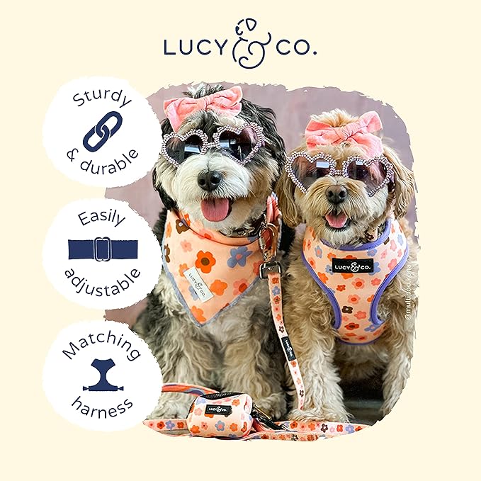 Lucy & Co. Let's Groove Adjustable Dog Collar- Cute Designer Pet Collar for Small, Medium, Large Dogs- Buckle Closure Dog Accessories, Large, Purple & Coral Floral