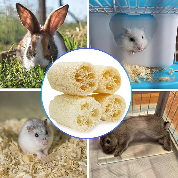 4PCS Rabbit Loofah Chew Toys, Organic Natural Loofah Toys Teeth Cleaning Bath Tools, Handmade Fiber-Rich Bunny Chew Toys for Guinea Pig, Hamster, Rat, Chinchillas
