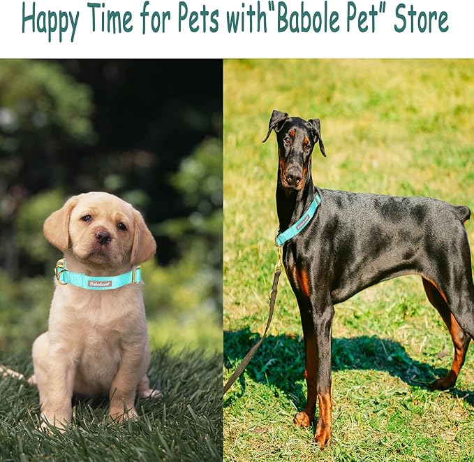 Nylon Dog Collar - Adjustable Lake Blue Soft Webbing Dog Collars for Small Medium Large Dogs Boy Girl Puppy Collar with Safety Metal Buckle S