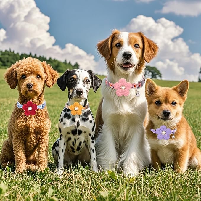 Small Dog Collar with Flower, Puppy Collar for Girl Dog Collars for Small Dogs Cute Christmas Dog Collar with Bell, Adjustable Length