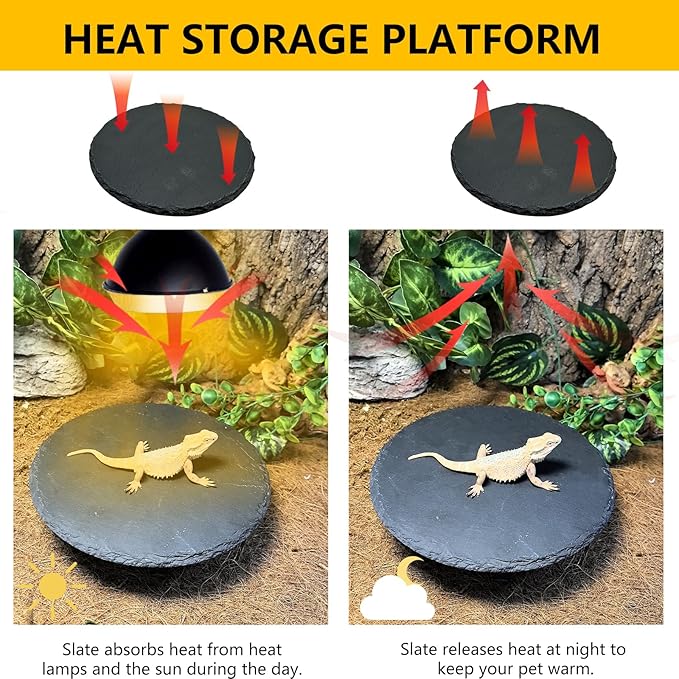 Tfwadmx Reptile Basking Platform,7.8IN Tortoise Rock Slate Plate Feeding Food Bowl Dish Turtle Bathing Resting Terrace for Lizard Bearded Dragon Chameleon Gecko Snake Frog Newt