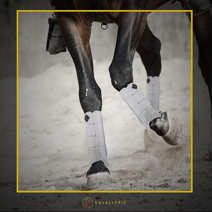 Kavallerie Classic Tendon Boots, Impact-Absorbing Material, Breathable & Evenly Distribute Pressure, Protect Tendon and Ligaments, Anti-Slip, Anti- Sore and Moisture Repellant Show Jumping Boots