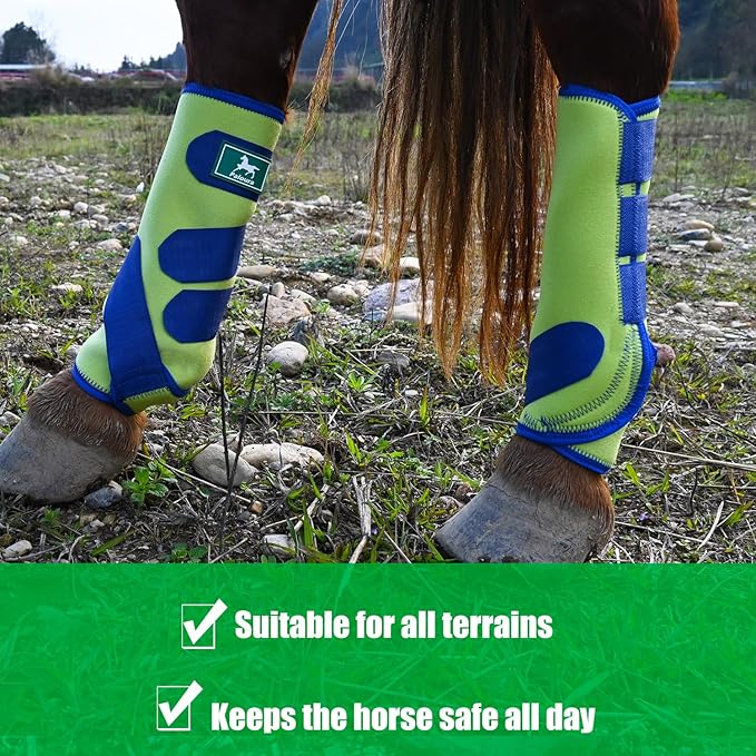 Equine Sport Horse Boots Set of 4 – Neoprene Leg Protection with Durable Hook & Loop Straps, Breathable & Comfortable Fit for Training, Riding, and Performance（Grenn, Medium）
