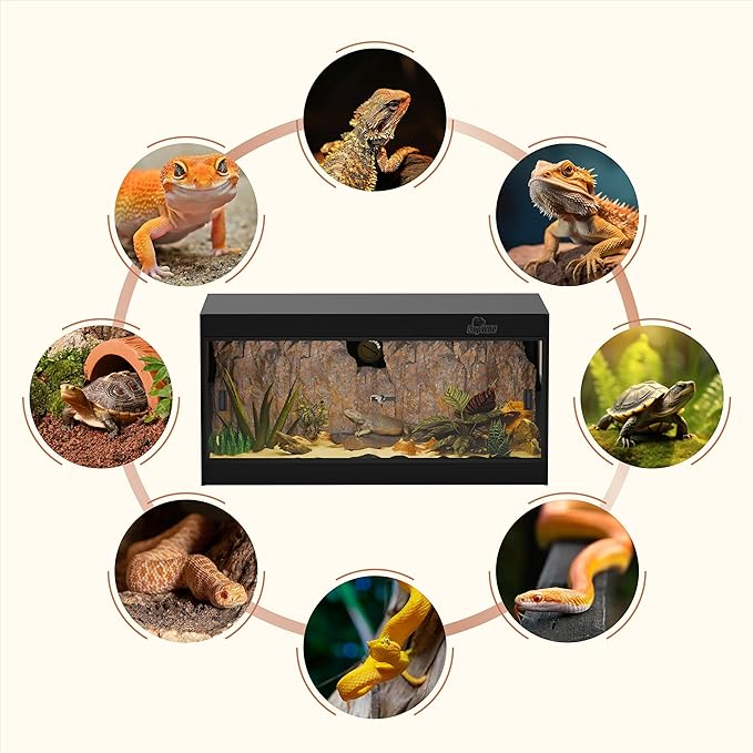 50 Gallon PVC Reptile Enclosure, RepWild 36"x18"x18" Stackable Terrarium/Tank with Dual Side Ventilation Mesh, Removable Glass Doors & Lock for Bearded Dragons, Ball Python, Geckos, Lizards