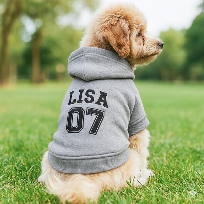 Personalized Name Dog Hoodie, Embroidered Puppy Sweater with Name/Text, Custom Pet Clothes Warm Winter Outfit for Dogs, Bright Puppy Sweatshirt, Pet Birthday Outfit, Gift for Dog Lovers