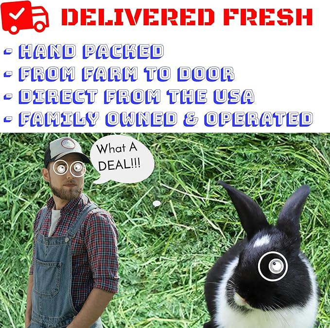 Fresh Alfalfa Hay 20Lbs by Bunny Honey - Natural Hay for Guinea Pigs, Rabbits, Hamsters, Hedgehogs, and More Small Animal Pets - Not Blended, Green Chopped & Delivered Fresh