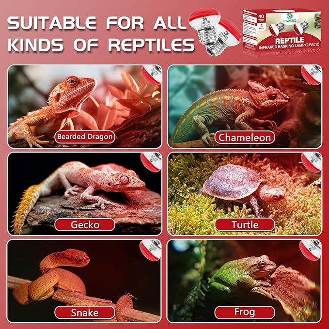 Infrared Reptile Heat Lamp, UVA Red Heat Light Bulb 40W, 2 Pack Reptile Heat Bulb, Infrared Basking Spot Light for Snake, Leopard Gecko, Turtle, Lizard