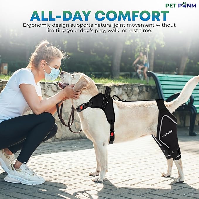 Dog ACL Knee Brace for Back Left Leg - with Integrated Harness - for Cruciate Ligament Injuries, Patellar Luxation, Post-Surgery Recovery. Durable, Breathable Material, Eases Pain - (Small)
