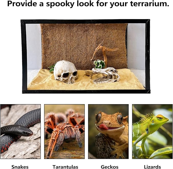 Tfwadmx Human and Crocodile Skull Decor, Snake Hide, Tarantula Enclosure Accessories, Resin Skull Reptile Terrarium Tank Decor for Geckos, Lizards, Spiders