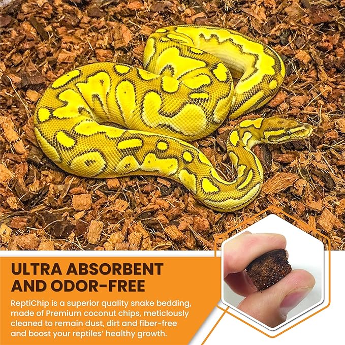 ReptiChip Reptile Substrate Coconut Chip Bedding 72 Quart Compressed Organic Coco Husk Block for Snake Habitat, Ball Python Terrarium, Turtle Tanks, Tortoise Enclosure (10 Pk)