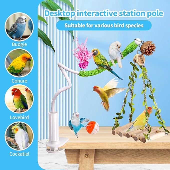 Bird Perch Stand with Swing, Desktop Bird Toy & Stand for Interacting, Interactive Playground for Sun Conure, Lovebirds, Conure, Budgie, Cockatiel - Non-Slip Adjustable Perch