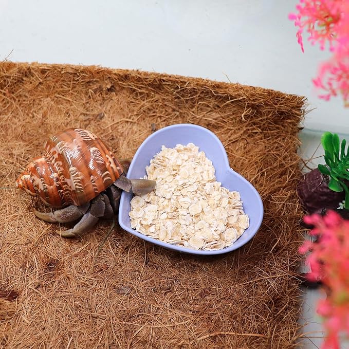 4 Pack Hermit Crab Plastic Food Dish, Hermit Crab Food & Water Bowl, Mini Food Dish Kit, Suitable for Hermit Crab Tarantula Snail