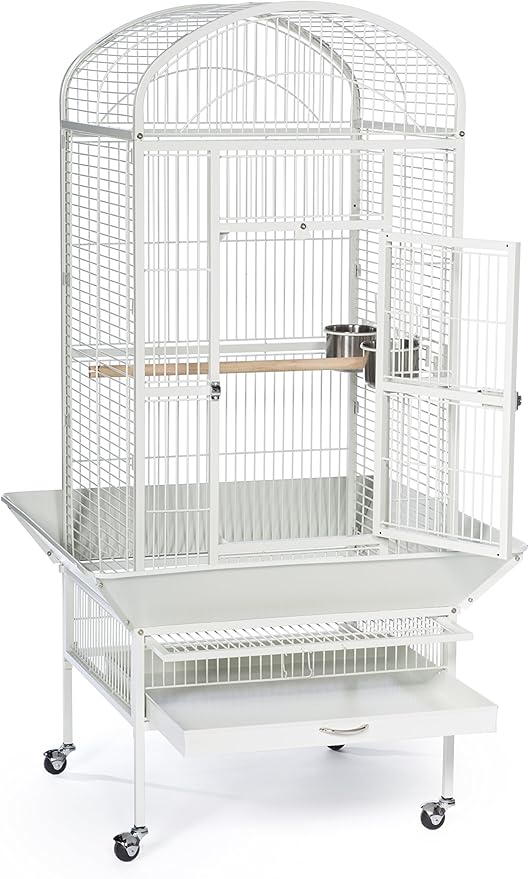 Prevue Pet Products 34522 Dometop Bird Cage, Large, Chalk White