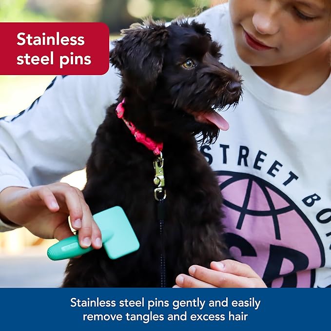 Coastal Pet Li'l Pals Dog Slicker Brush with Coated Tips - Dog Grooming Brush for Small Breeds & Puppies - One Size (3.25” x 7.25”)