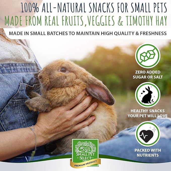 Small Pet Select - Healthy Snackers - Banana (Pack of 2)