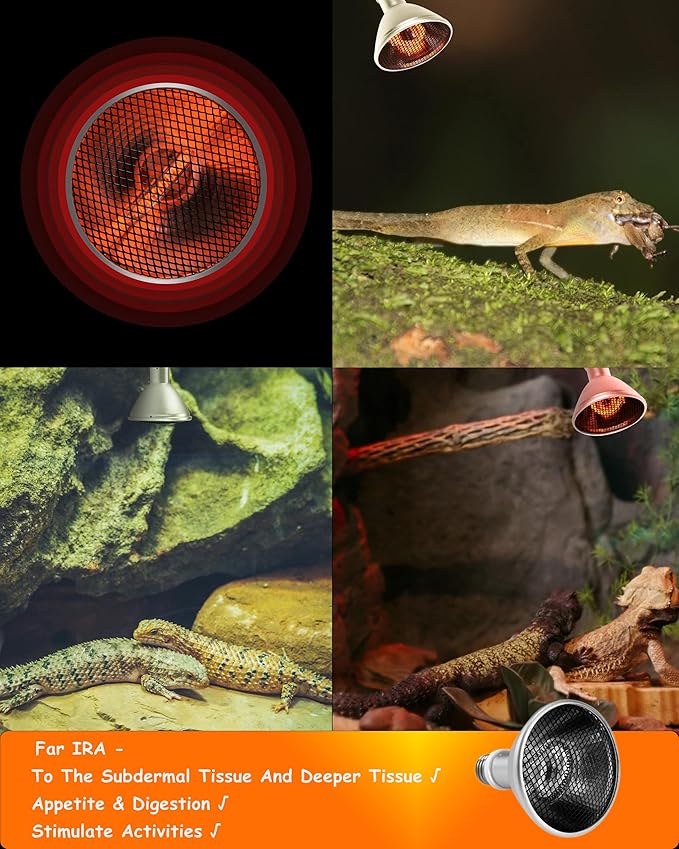 Deep Heat Projector - DHP 80W Infrared Reptile Heat Lamp Bulbs for Turtle Light Bearded Dragon Chicken Lizard Leopard Gecko Snake