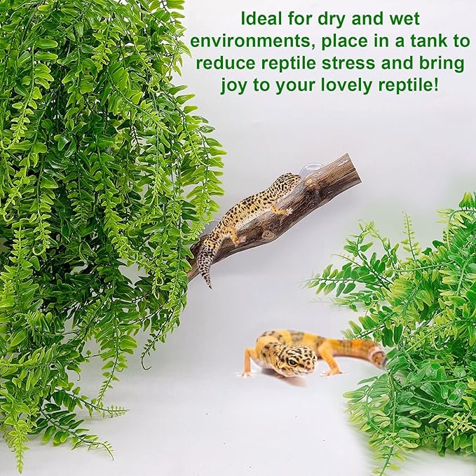 kathson Reptile Corner Branch Climbing Wood & Hanging Fake Plants,1 Reptile Branches & 2 Terrarium Plastic Plant, Bearded Dragons Tank Decor for Amphibians, Lizards, Geckos, Snakes, Frogs, Hermit Crab