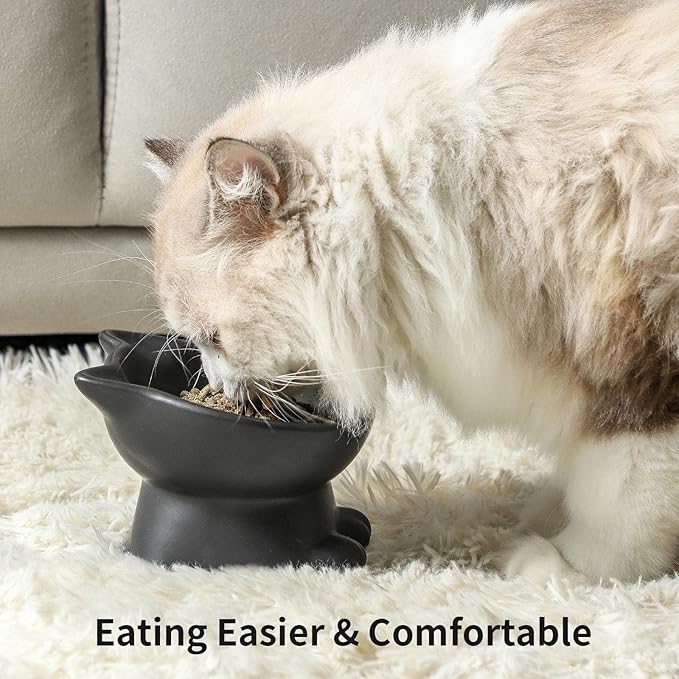 Nihow Elevated Cat/Dog Bowls Set : 5 Inch Ceramic Raised Cat Food and Water Bowl Set for Protecting Pet's Spine - Feeding & Watering Supplies for Pets- Matte Black (2PC)