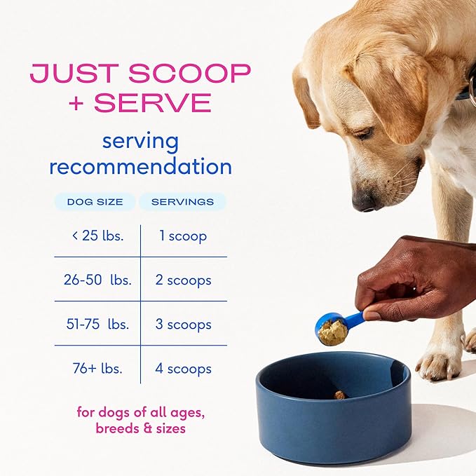 Native Pet Advanced Care - Hip & Joint Supplement for Dogs - Supports Joints, Cartilage, Muscles & Anti-Inflammatory with HMB, UC-II Collagen, Green Lipped Mussel & Hyaluronic Acid - 120 Scoops