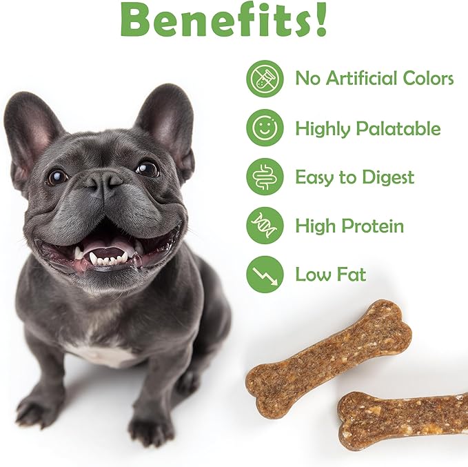 MON2SUN Dog Treats 2 Inch Chicken & Oat Treats with Peanut Butter, Crunchy Biscuits for Small Dogs, Training Rewards, 21.16 oz (70 Count)