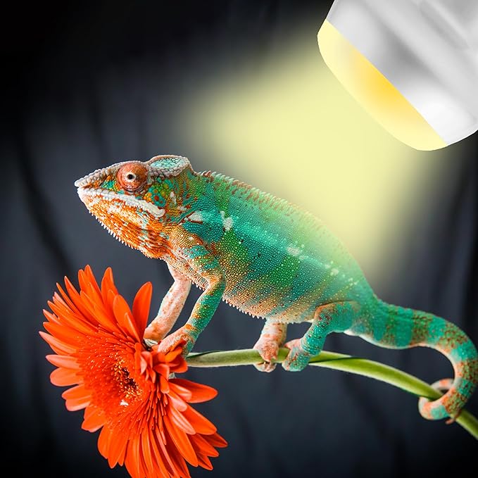 75W Intense Basking Spot Lamp – UVA Daylight Heat Bulb for Reptiles, Simulates Natural Sunrise and Sunset, Enhances Natural Behavior, Suitable for Bearded Dragons, Turtles, Geckos | 2 Pack