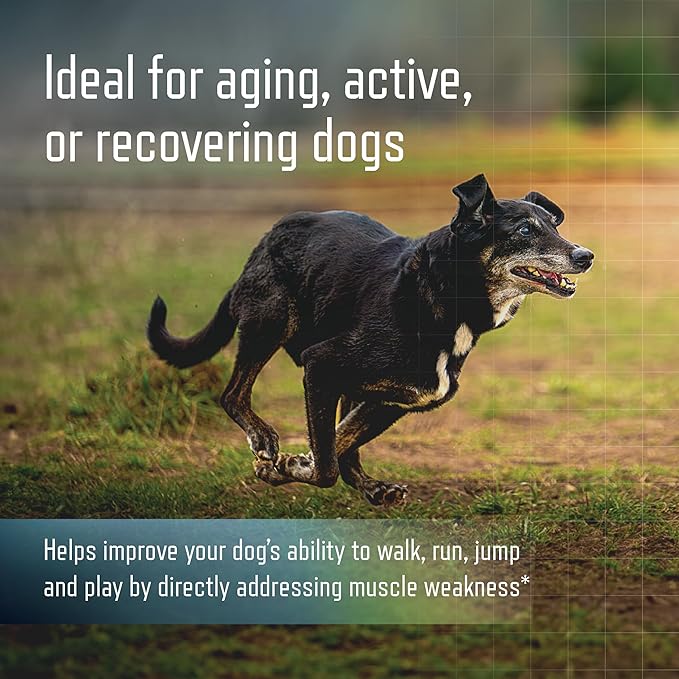 URSOLYX Soft Chews for Dogs | Muscle Health Support for Senior, Active or Recovering Dogs, Large | 120 Count 4-Month Supply