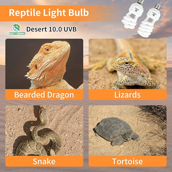 UVA UVB Reptile Light 15W 10.0,Desert Terrarium Compact Fluorescent Lamp,UVB Reptile Light Bulb for Snake,Spider,Bearded Dragon