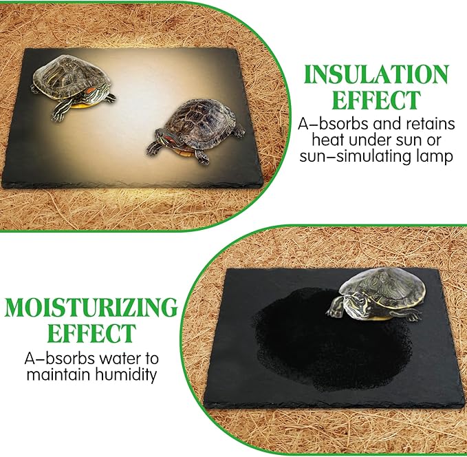 Tfwadmx Reptile Basking Platform Tortoise Feeding Dish Natural Rock Food Bowl Landscape Habitat Decor for Turtle Lizard Bearded Dragon Crested Gecko Snake 2Pcs