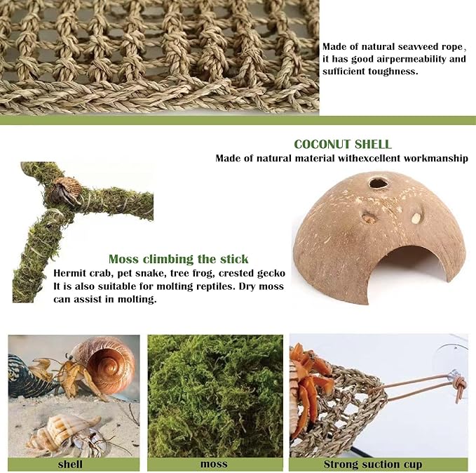Hermit Crab Accessories – 8PCS Natural Hermit Crab Shells, Coconut Hideout, Climbing Toys Hammock, Moss, Plants & Water Dish, Habitat Decor for Hermit Crabs or Reptile Tank (C-Group-Water Dish).