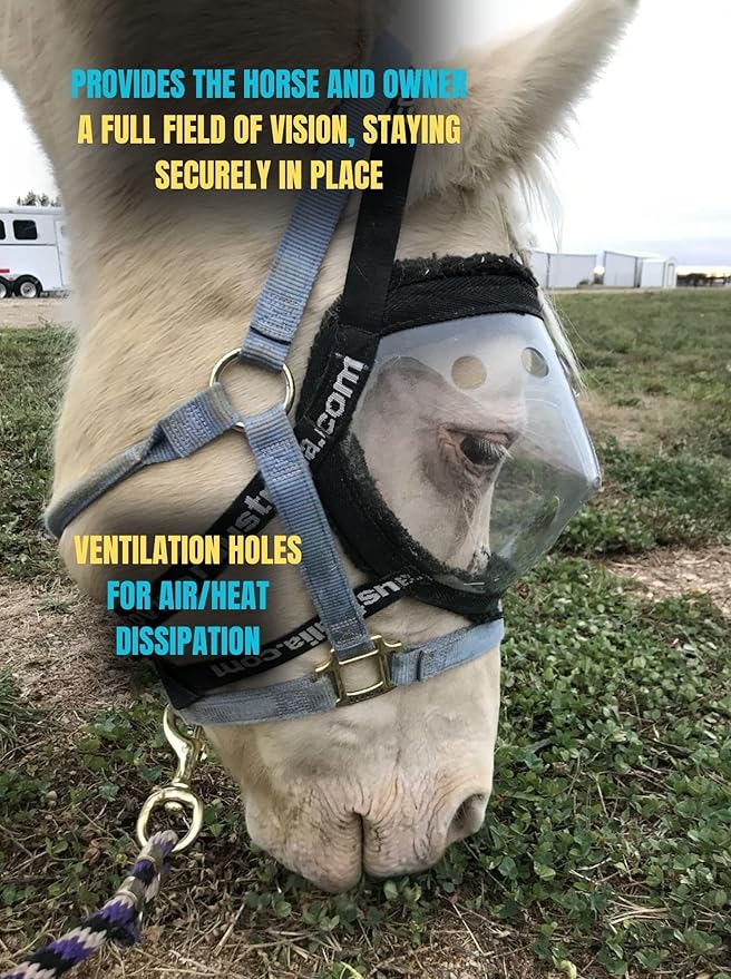 Recovery Vizor, (Size XL - Clear UV Tint) Medical and Preventative Horse Eye (Goggle) Protection Mask for Uveitis/Injury/Scratch or Corneal Ulcer, Infection, Blindness