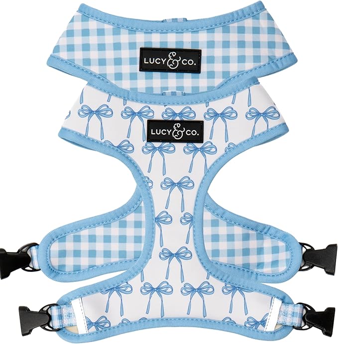 Lucy & Co. Cute Reversible Dog Harness Walking Halter - Best Designer Pet Harnesses for XS - XL Dogs - Padded Adjustable Vest for Easy Walking - Small - White with Blue Bows
