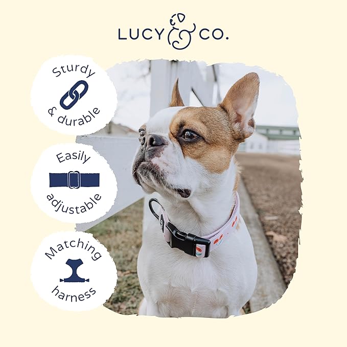 Lucy & Co. Cheery Cherries Dog Collar - Durable Lightweight Designer Collar for Pets - Adjustable Metal Safety Buckel - Red Gingham Cherries – Large