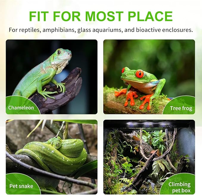 Reptile Mister System, External Timer & 360° Adjustable Nozzle, Humidifier for Reptiles, Amphibians, Rainforest Plants and Aquariums