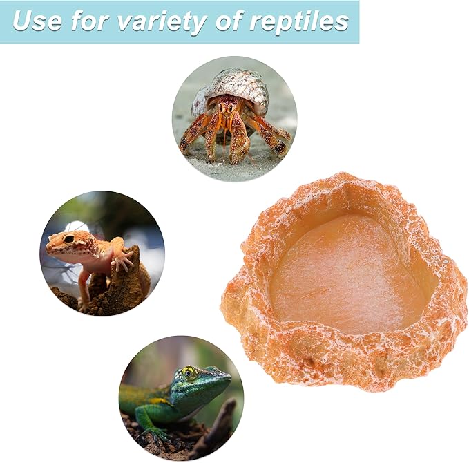 Reptile Food Dish, Resin Lizard Reptile Food Dish, Turtle Water Bowl, Terrarium Feeding Bowl Accessory for Lizard Tortoise Snakes Gecko, Orange, 3.54"x3.54"x0.98"
