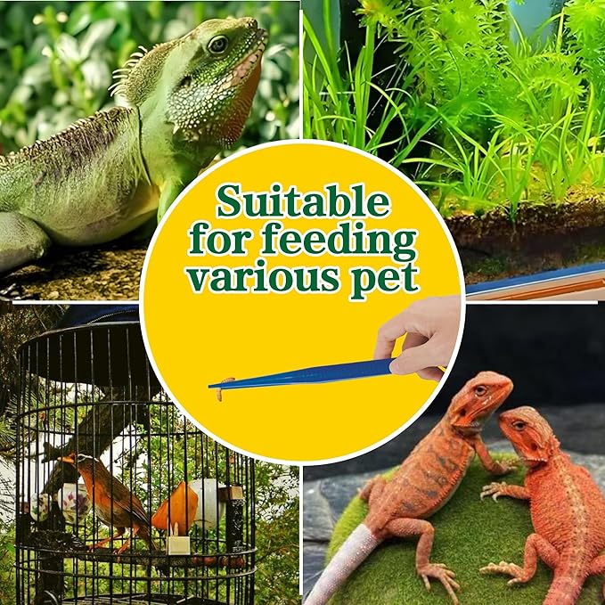 4-Pack Reptile Feeding Tongs Set - Hygienic Anti-Slip Blue Tweezers for Bearded Dragons, Lizards, Snakes, Aquariums & Small Animals